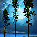 Clair de Lune